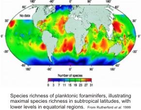 plankton species richness